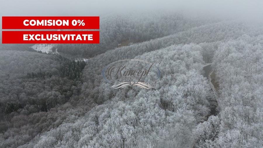 Comision 0% - Casa cu teren generos in Elciu - 8