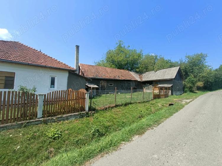 Casa de vanzare, aproape de ora?ul Brad, jud. Hunedoara, in comuna Ribi?a - 1