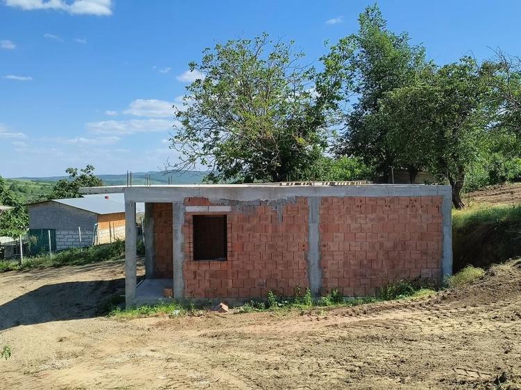 Vand casa la rosu + teren , in satul Sauca ,Vaslui - 2