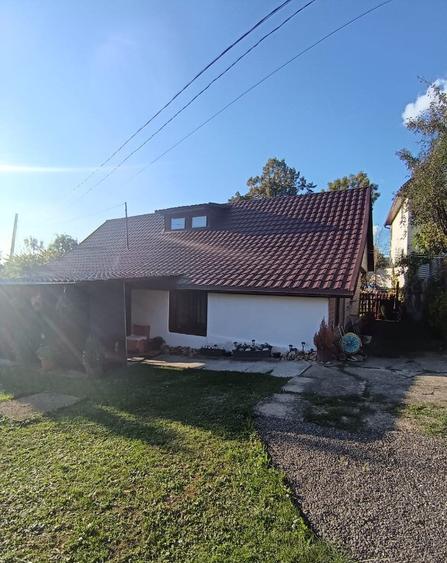 Valea Borcutului, casa 23 ari teren - 8