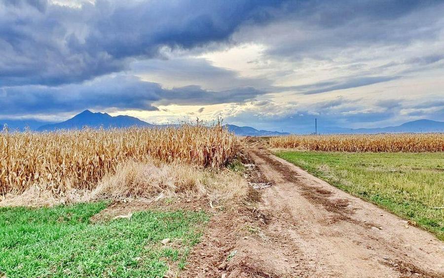 Teren extravilan Tarlungeni - 6