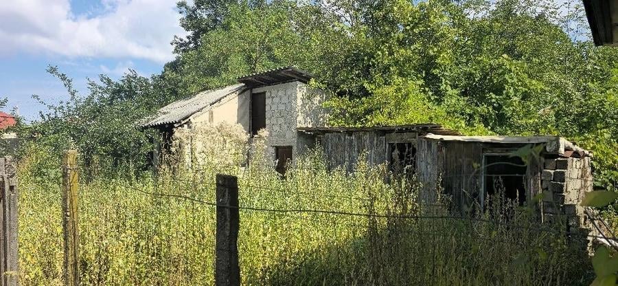 casa taraneasca - 6