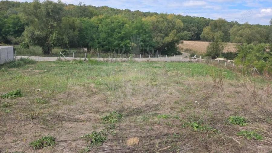 TEREN INTRAVILAN//COM. PLOPU//1300//2700 MP - 3