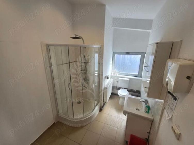 CLADIRE COMERCIAL - INDUSTRIALA // 250 MP // P+1 - 7