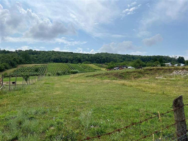 Teren Tomesti 3750MP - 6