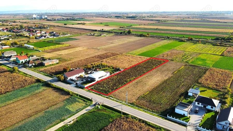 Teren intravilan de vanzare 3000 mp, Botiz, str. Sirul Mare, la doar 7 km de centrul Satu Mare - 8