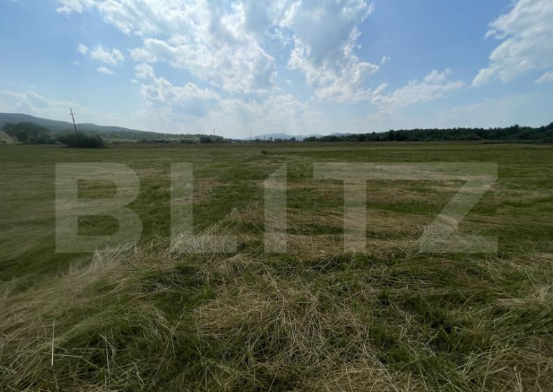 Teren extravilan 1200 mp Dorolea, aproape de Manastire - 5