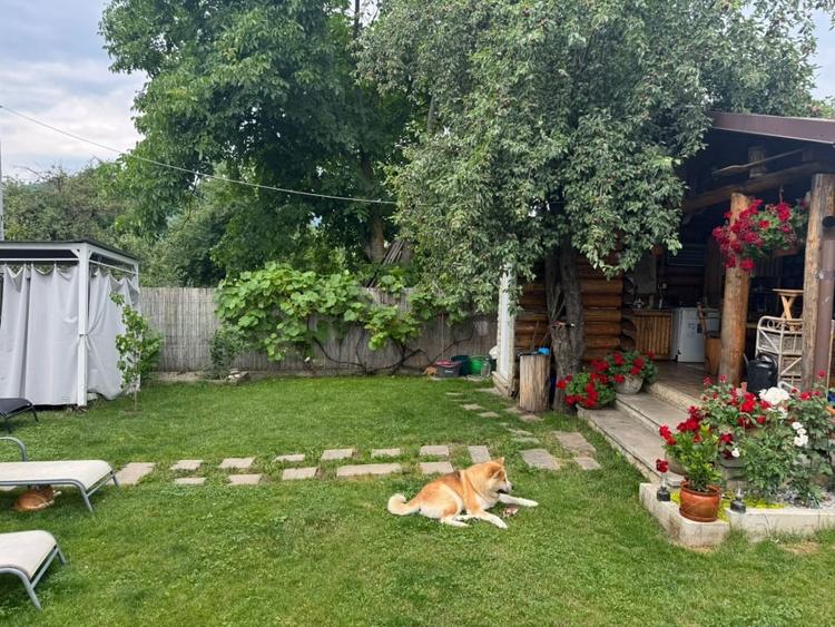 De vânzare vilă familială-tot confortul în Frasin-reducere de pret!!! - 23