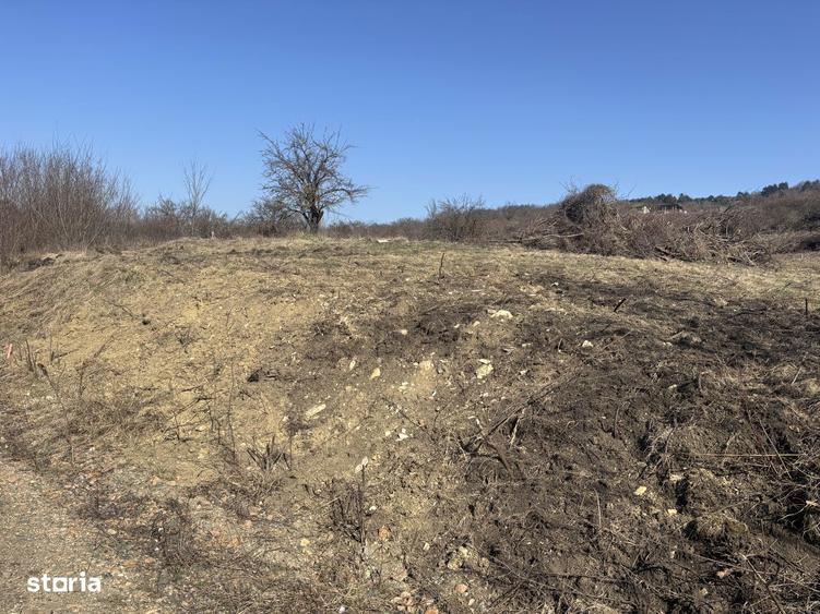 Teren Pomet/3 km Auchan - 7