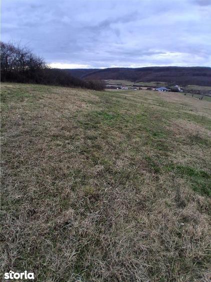 RECO Teren intravilan 5487 mp cu dublu front stradal-zona Betfia - 5