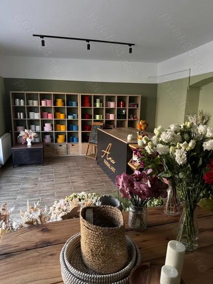 Florarie de vanzare Brasov - 1