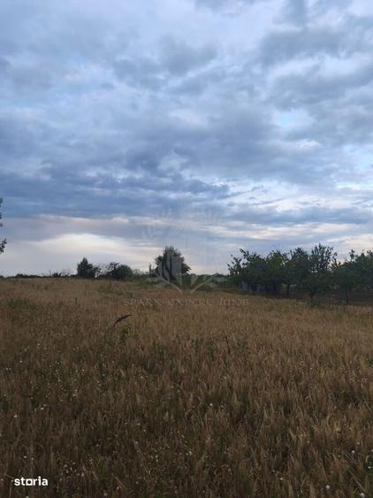 TEREN INTRAVILAN\\ZONA SPITALUL JUDETEAN PLOIESTI - 1