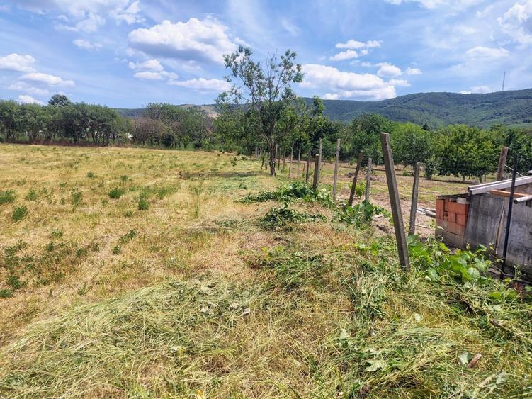 Casa cu gradina Galsa - 4