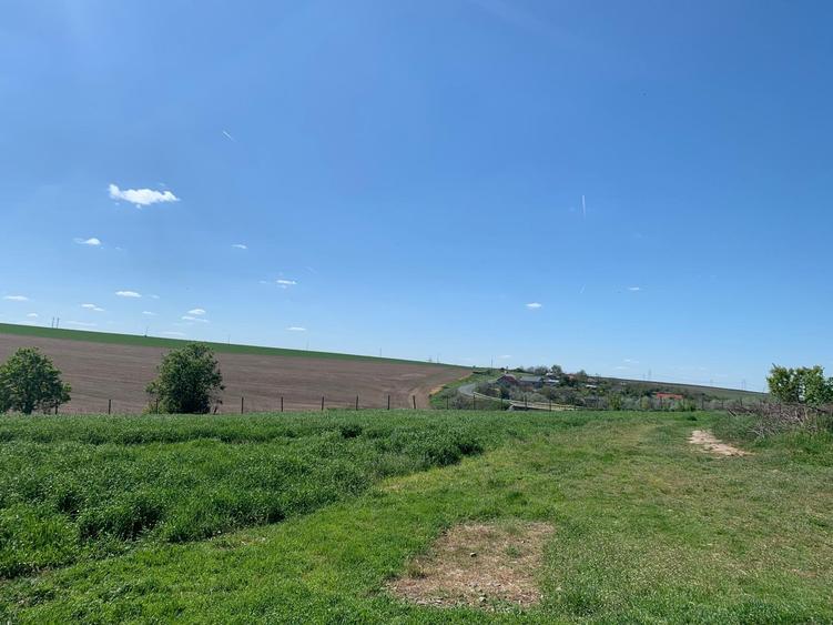 Fermă de vânzare - DN3 - 84m deschidere - 34