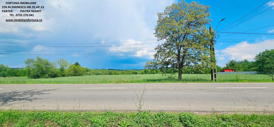 Proprietate com.Bodesti, casa+ anexe + teren 7481 mp - 13