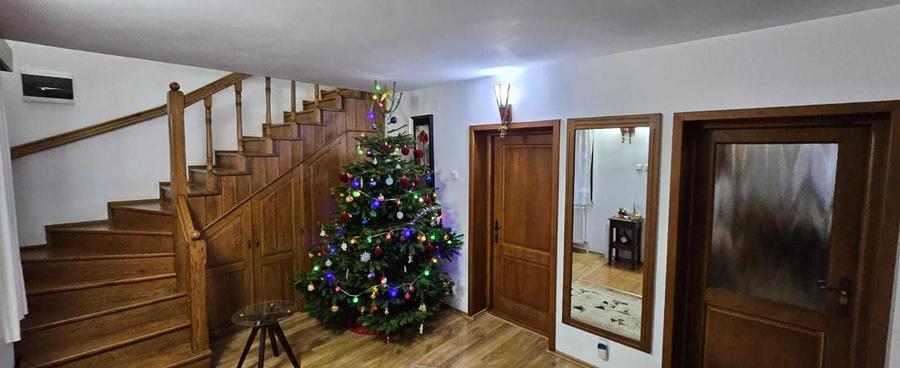 Casa Ana Ipatescu - 4