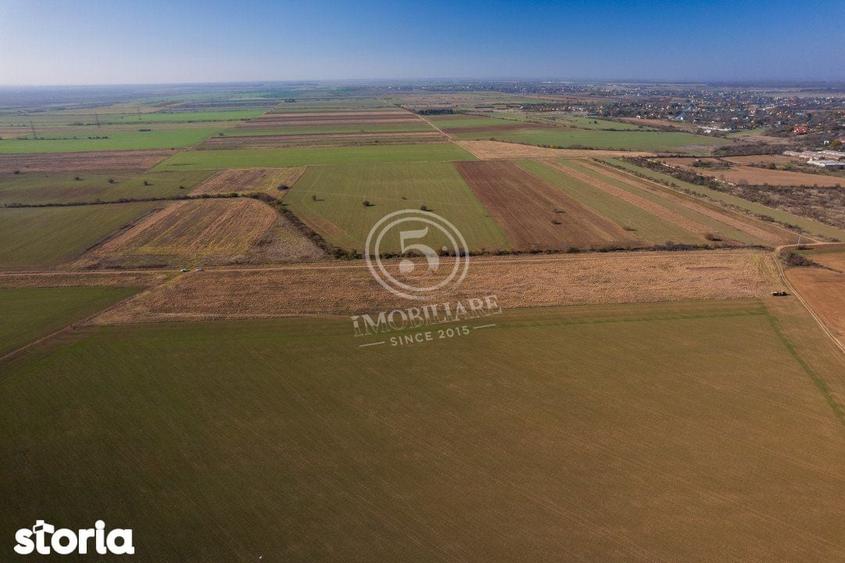 Ocazie- Teren Intravilan de Vanzare- Peris Snagov- Doar 10 euro/mp - 5