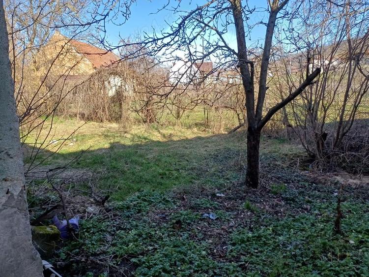 Casa cu gradina Geoagiu -Hunedoara - 2