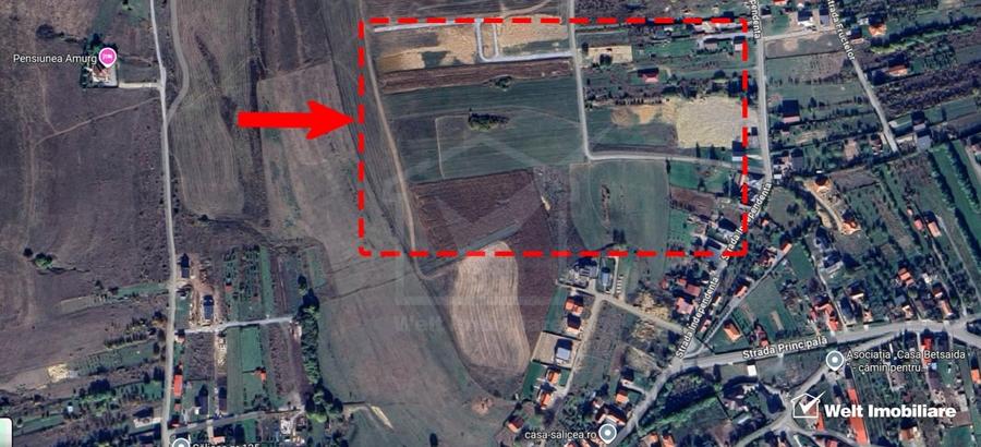 1500 mp front de 17,5 metri - Teren cu potential excelent in Salicea - 7