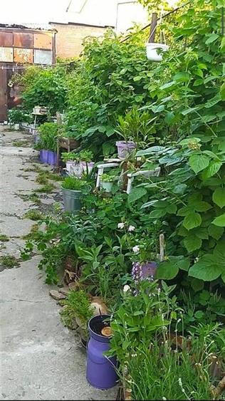 Oferta vanzare casa 3 camere zona Mihai Bravu//teren 250mp// deschidere 10ml - 3