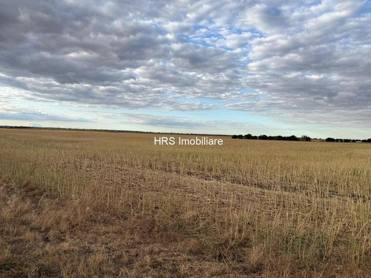 Teren intravilan Branesti - 4