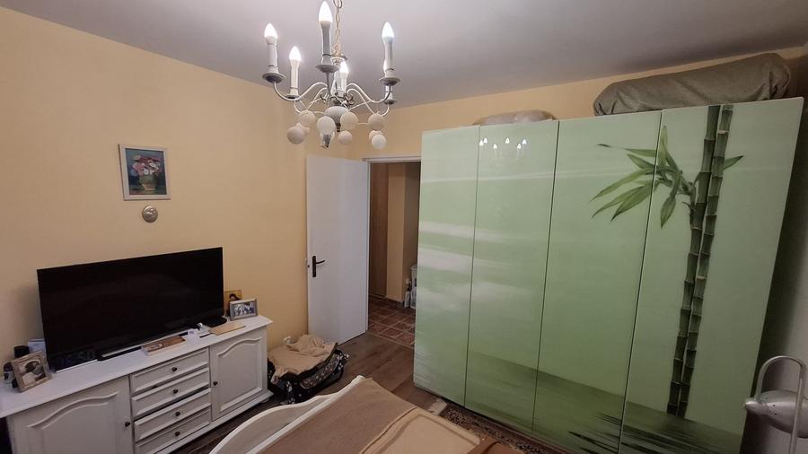 Piata Minis - Barajul Rovinari - 15