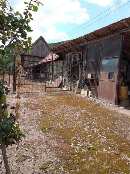 Casa de vanzare in loc.Izvoarele com.Livezile.jud.Alba - 5