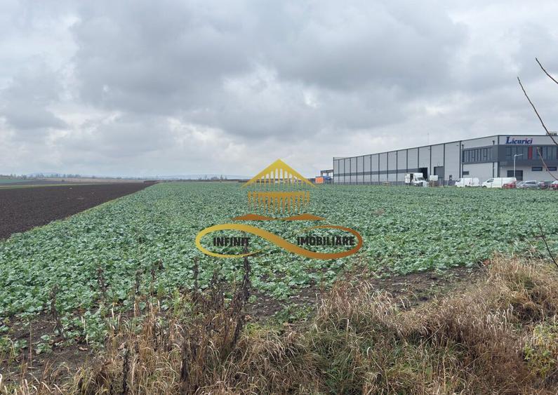 Teren industrial de vanzare in Bacau zona RAR - 3