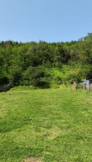 Teren intravilan cu utilitati - 2