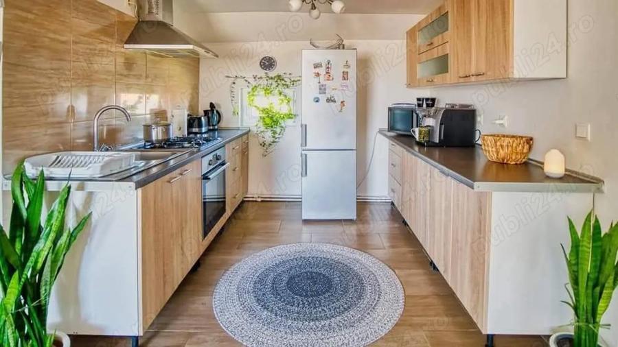 Vila de vanzare + afacere in Sannicolau Mare - 2