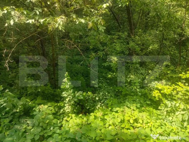 Teren intravilan, 5857 mp, Baltati, Horodnicu de Sus - 4