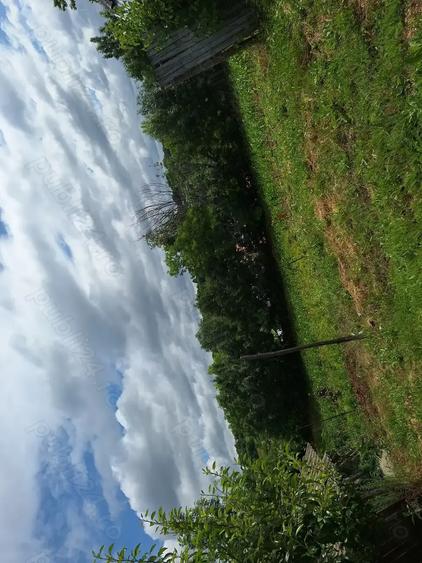 Vand casa plus teren - 4