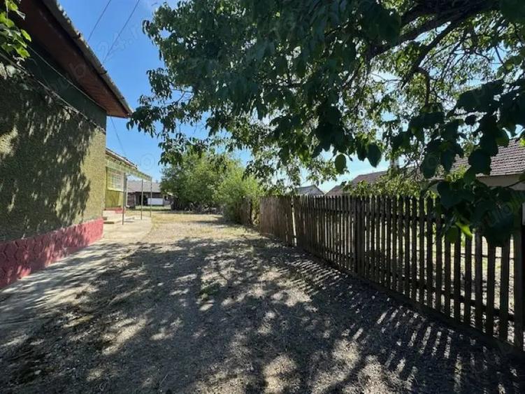 Casa cu teren de 6060 mp | LOC. BICACI | BIHOR - 5