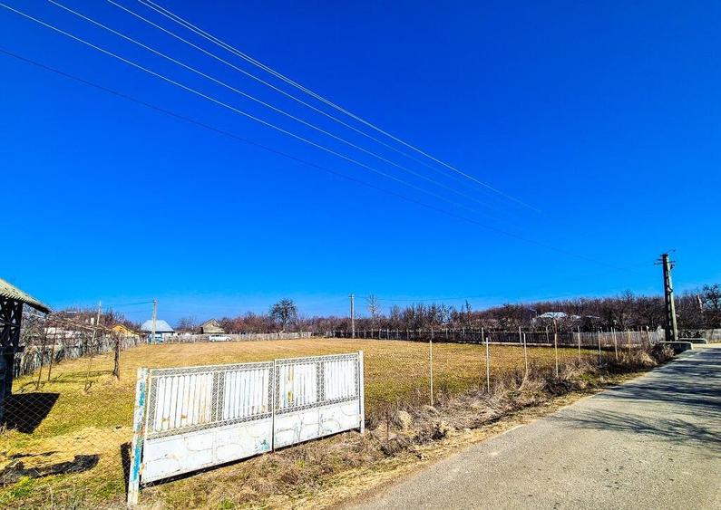 Teren Intravilan Cuca Arges - 6