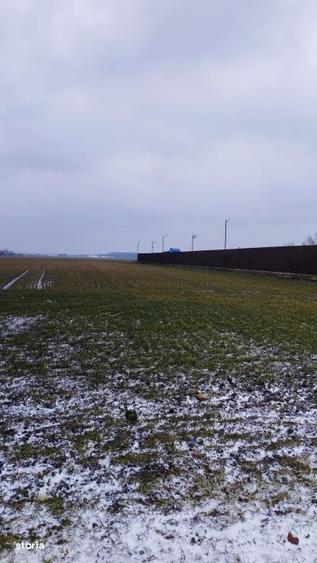 Teren intravilan mixt de vanzare Branesti, Ilfov Pret:110 EURO MP - 1