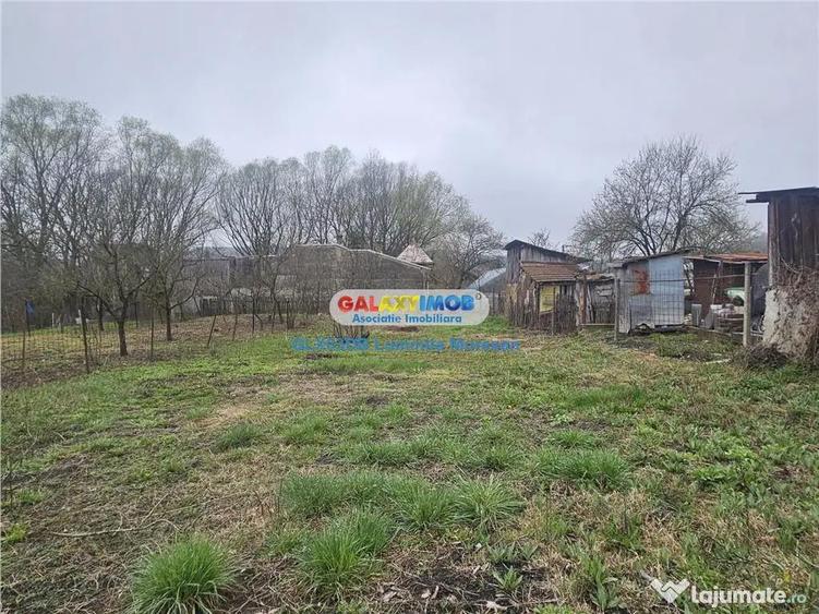 Casa batraneasca 750mp teren Viforata Comuna Aninoasa - 8