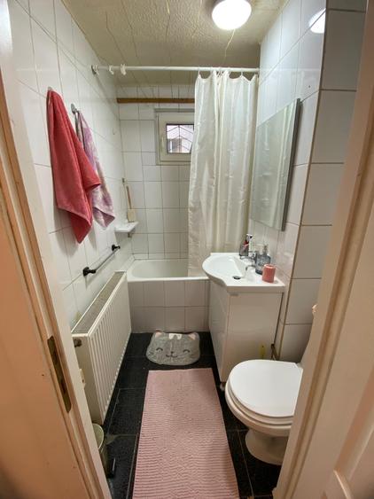 Lacul Tei x Teiul Doamnei, langa Facultatea de Constructii si Parcul Tei - 10