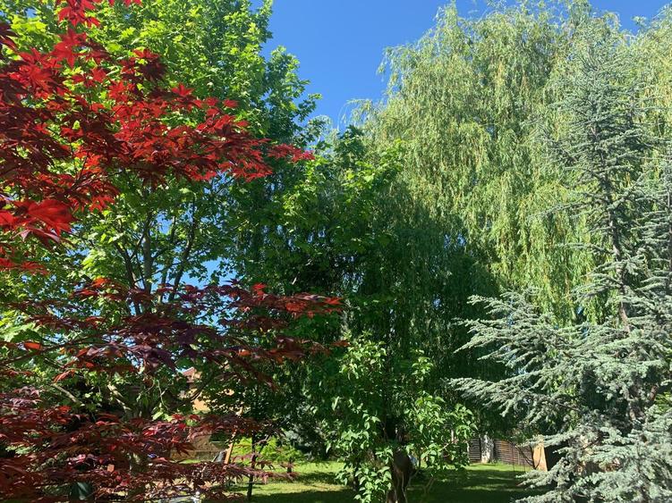 VANZARE CASA VILA - 12