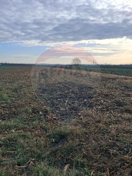 Teren intravilan 3400mp de vanzare la Santion - 1