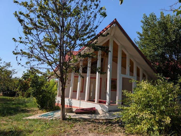 Casa individuala 5 camere P+M 196 mpt + 1200 mp teren asfalt - Horlesti (Rediu) - 3