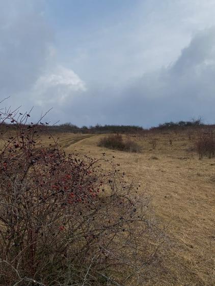 Oportunitate investitie! Teren intravilan cu panorama, Cart. Borhanci - 4