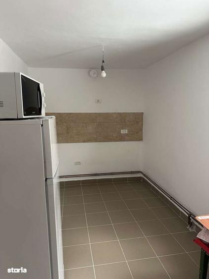 Proprietate cu 2 case in Gura Vaii la doar 10 km de Dr. Tr. Severin - 1