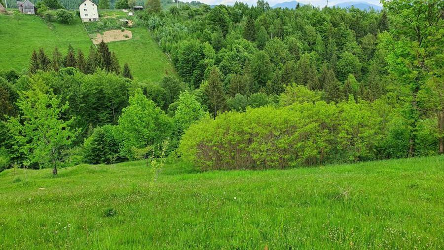 teren extravilan sat pestera jud brasov - 4