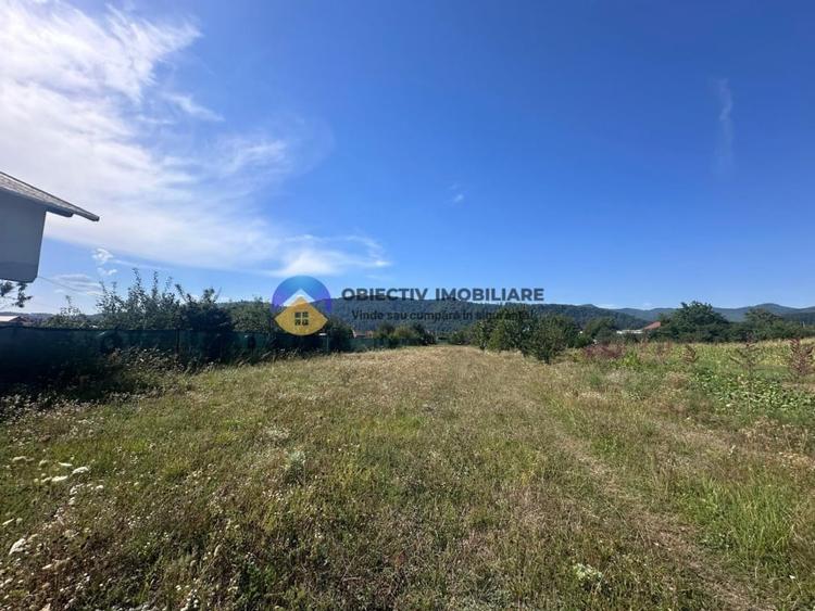 Teren intravilan de vanzare – 1.688 mp, Dumbrava Rosie - 6