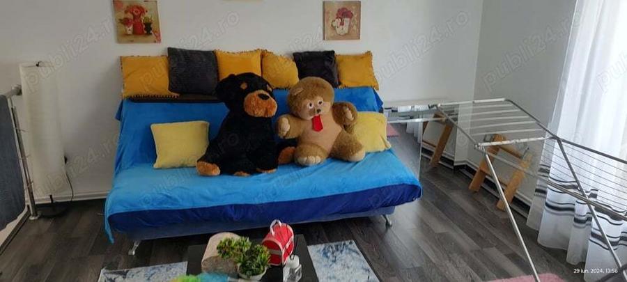 casa cu etaj de vanzare . - 3