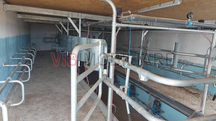 Ferma zootehnică funcțională, populată cu peste 200 capete bovine, aproape de Sâ - 1