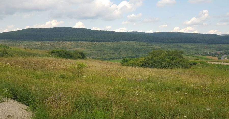 Teren intravilan 750 mp, cu PUZ, zona platoului Radaia - 3