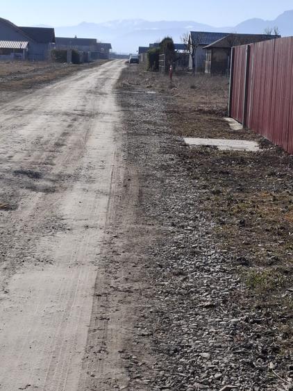 Teren 500 mp situat in strada Nicolae Balcescu - localitatea Harman! - 5