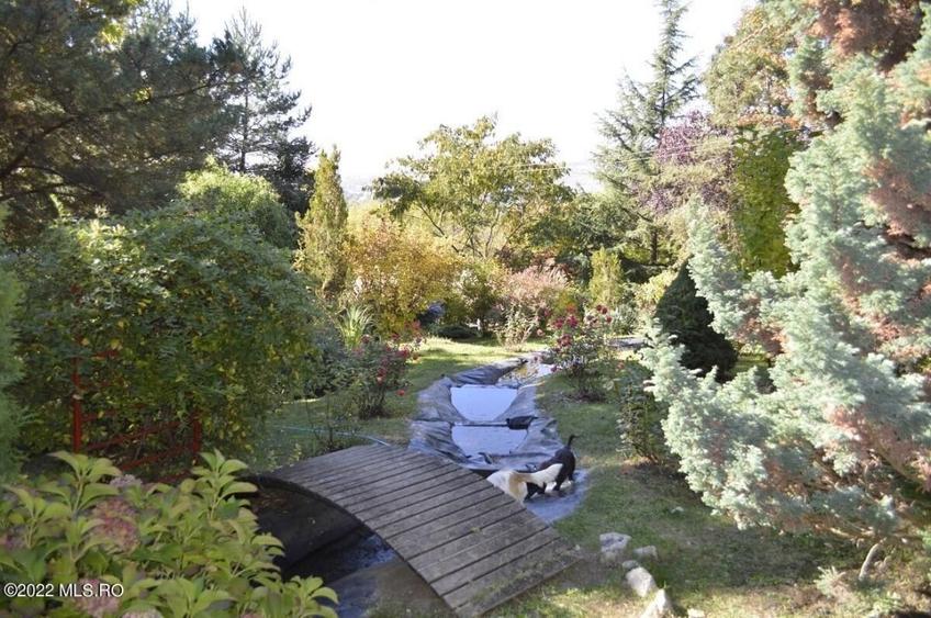 Topoloveni - Conacul Ion Mihalache, Domeniu pe 5 Hectare! - 8