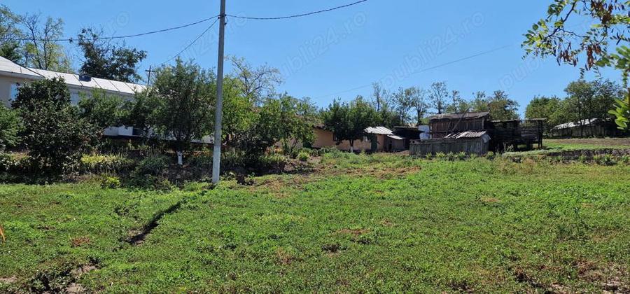 Teren intravilan 5000 m si casa Odaia Manolache. - 1